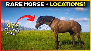 Get Extremely Rare Mustang with Locations  RDR2 [upl. by Pennebaker]