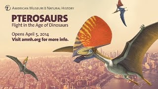 Pterosaurs Flight in the Age of Dinosaurs [upl. by Norabal75]