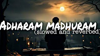 Madurashtakamadhram madhuram Hindi version bass boosted slowed and reverbed songmusicremixbass [upl. by Laband286]