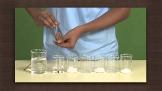 Exothermic and endothermic dissolution  Solubility  Chemistry [upl. by Nortyad]