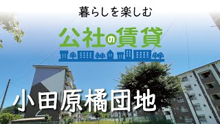 公社の賃貸 小田原橘団地小田原市 賃貸住宅 [upl. by Izzy]