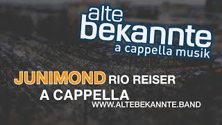 Junimond  Alte Bekannte Rio Reiser Cover [upl. by Aihsyn354]