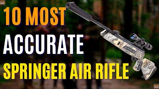 Top 10 Most Accurate Springer Air Rifle 2024  Best Air Rifle For Hunting [upl. by Digirb]