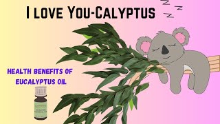 Amazing Benefits and Side Effects of EUCALYPTUS OIL You Need To Know [upl. by Balcke]