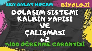 DOLAŞIM SİSTEMİ KONU ANLATIMI 3  KALBİN ÇALIŞMASI  AYT BİYOLOJİ  ✅ [upl. by Rickey]