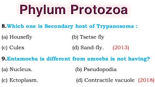 Phylum Protozoa  Classification of Phylum protozoa [upl. by Aneles]