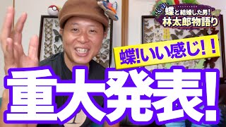 【重大発表】よ〜いドン！となりの人間国宝さんになれるのか？！テレビ出演日時が決定！日本の国蝶オオムラサキ（大紫、Sasakia charonda）飼育家 蝶太郎物語りNo167 [upl. by Elleinnad]