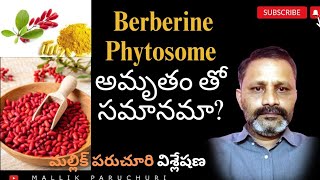 Berberine phytosome ఏయే సమస్యలకు పనిచేస్తుంది నిజంగా అంత అద్భుతమయిన మందు నా [upl. by Yentruocal]