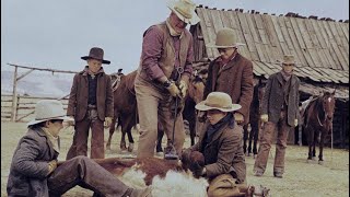 John Williams  The cowboys Main title  BOF quotLes cowboysquot 1972 [upl. by Drue]