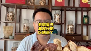 老树果与油皮仔的区别是？老树果包含油皮仔，油皮仔在老树里挑 [upl. by Mahoney569]