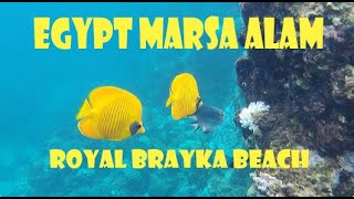 Egypt Marsa Alam  Royal Brayka 2023 [upl. by Ducan]