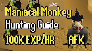 Maniacal Monkey Hunting Guide  AFK Hunter Method  100K ExpHr [upl. by Brawley788]