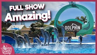 NEW SHOW First EVER Dolphin Adventures at SeaWorld San Diego [upl. by Saxon]