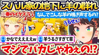 【新ホロ鯖】奏のイタズラを回収するため家に帰宅したところ『地下に大量の羊の群れ』を発見し、あまりの騒音にブチギレるスバルw【ホロライブ切り抜き大空スバル音乃瀬奏】 [upl. by Ferreby]