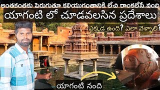 Yaganti temple trip  places to visit in Yaganti  Yaganti Nandi mystery  Uma Maheshwara temple [upl. by Lovett]