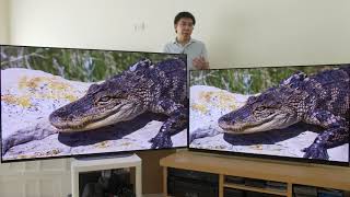 LG E9 vs Sony AG9 A9G 2019 OLED TV Comparison [upl. by Gish807]