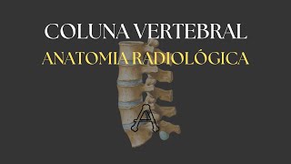 COLUNA VERTEBRAL  Anatomia Radiológica [upl. by Lipp]