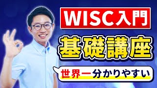 【完全初心者向け】WISC –Ⅳの基礎基本【世界一分かりやすく解説】 [upl. by Ecenahs34]