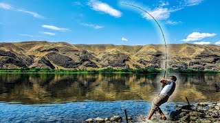 Bank Fishing for River Monsters  Columbia River Washington [upl. by Morley]