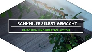 Eigene Rankhilfe gebaut  Zimmerpflanzen DIY  Umtopfen Syngonium Albo  Mini Monstera [upl. by Linehan]