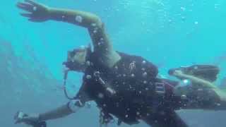 Diving Roatan  West Bay Roatan Honduras  TGI Diving [upl. by Notac]