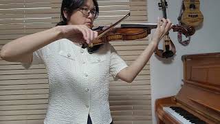 🎻 Rieding Violin Concerto G major op34 1st movement [upl. by Burl]