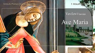 1Hour Ave Maria VavilovCaccini バビロフカッチーニの アヴェ・マリア PianoViolin Cover  Extended [upl. by Allemrac948]