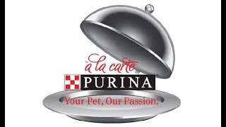 Nestle Purina PetCare  A La Carte Promo Video [upl. by Longmire]