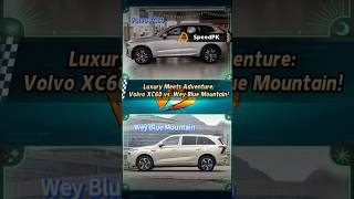 Luxury Meets AdventureVolvo XC60 vs Wey Blue Mountaincar carcrashtest dcarstudio [upl. by Jeremias]