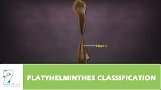 PLATYHELMINTHES CLASSIFICATION [upl. by Acyre]