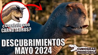 DESCUBRIMIENTOS MAYO 2024 CANGUROS GIGANTES EN AUSTRALIA NUEVO ESTUDIO DE PIEL DE DINOSAURIO [upl. by Stokes752]