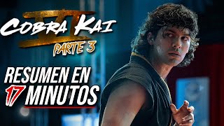 Cobra Kai 6 PARTE 3  RESUMEN EN 17 MINUTOS [upl. by Einimod53]