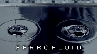 Cymatics Ferrofluid [upl. by Maharg211]