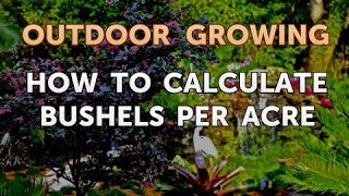 How to Calculate Bushels Per Acre [upl. by Gaye]