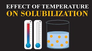 Effect of Temperature on Solubilization  Chemistry Insights  ChemClarity [upl. by Nilo]