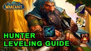 Classic WoW Hunter Leveling Guide  Talents Rotation and Pets [upl. by Ardnekahs]