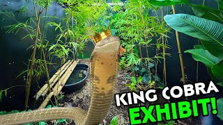 King Cobra gets HUGE UPGRADE [upl. by Eldwen]