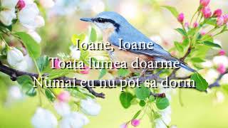 Mirabela Dauer  Ioane Ioane lyrics versuri karaoke [upl. by Kathlin]