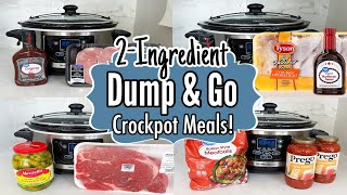 10 Cheap amp Fancy Crockpot Dinners  The EASIEST 2Ingredient Slow Cooker Recipes  Julia Pacheco [upl. by Byrne]