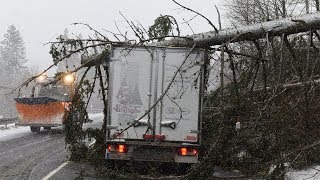 Sturmtief Burglind stiftet Chaos im Hochschwarzwald  korrigierte Version [upl. by Kan330]