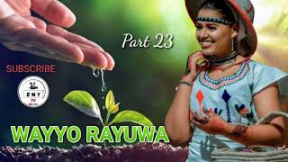 WAYYO RAYUWA Part 23 Hausa Novels Audio 2022 [upl. by Erolyat885]