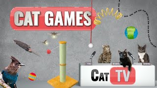 Cat Games  Ultimate Cat TV Compilation Vol 4  🐱 [upl. by Girand]