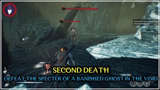 BANISHERS GHOSTS OF NEW EDEN  SECOND DEATH TROPHY DEFEAT A BANISHED GHOST IN A VOID BREACH [upl. by Malachi237]