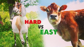 BEST AND WORST Livestock for Beginners [upl. by Oizirbaf]