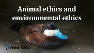 Animal ethics and environmental ethics [upl. by Job922]