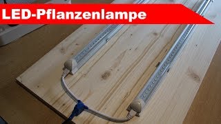 🌷 LEDPflanzenlampe selber bauen 🌷  Anzuchtstation basteln  Großstadtgärtnern [upl. by Yeleen]