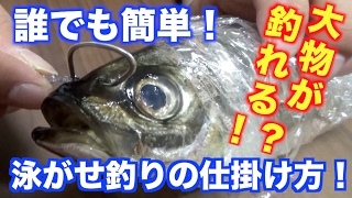 釣りの中で一番釣れる泳がせ釣りの仕掛けを大公開！！ [upl. by Slein]