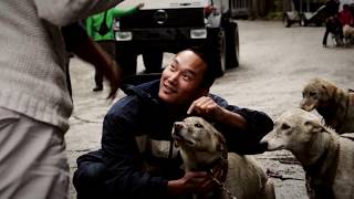 Mushers Camp and Sled Dog Adventure  Skagway Alaska [upl. by Joey]