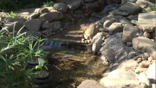 Smartponds How to Build a Pond or Water Feature [upl. by Novak614]