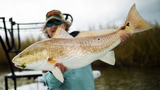 Fly Fishing for Monster Redfish in Louisiana [upl. by Elleirbag810]